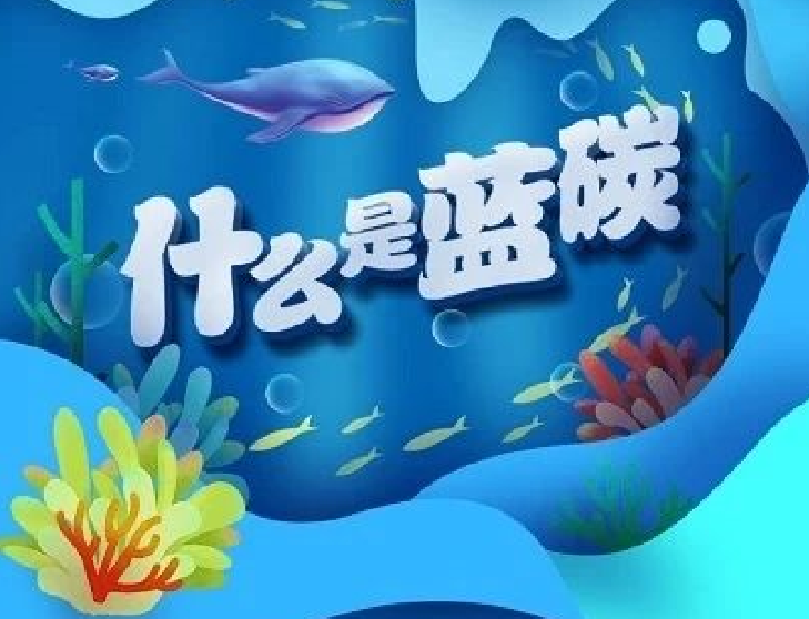 圖解｜你知道“藍(lán)碳”是什么嗎？